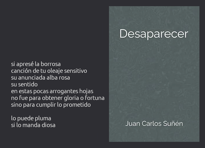 Portada de "Desaparecer", de Juan Carlos Suñén.