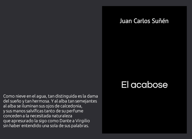 Portada de "El acabose", de Juan Carlos Suñén.