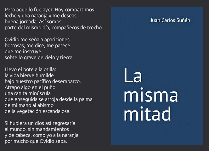 Portada de "La misma mitad", de Juan Carlos Suñén.